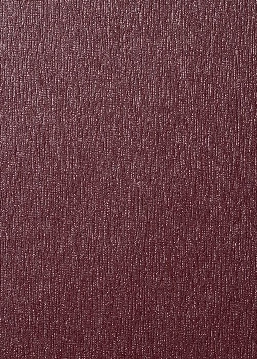 1293011.jpg 1293011.jpg